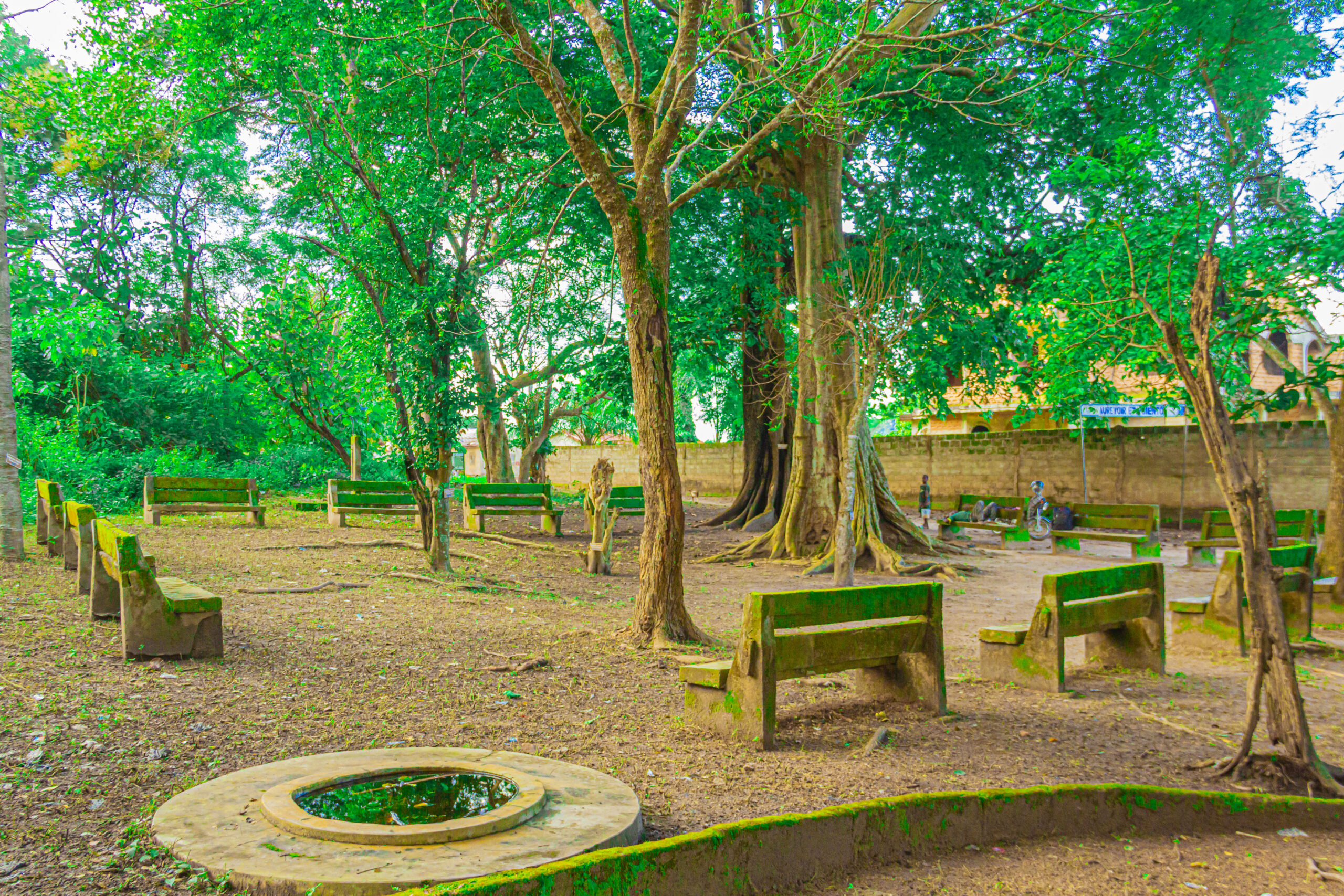 FORET SACREE DE KIKELE